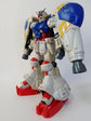 MG Physalis (Water Decal)