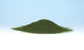 TURF-GREEN GRASS