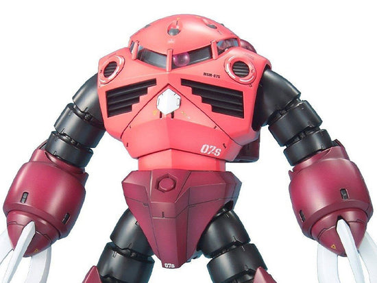 MG MSM-07S Char&