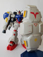 MG Physalis (Water Decal)