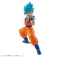 Dragon Ball Super Entry Grade 