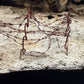 AKI Diorama Effects - Terrains Dry Ground 250ml