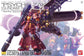 MG Psycho Zaku Ver. Ka (Gundam Thunderbolt)