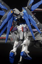 RG Freedom (Water Decal)