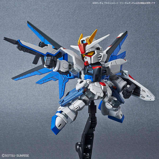 SD/CS 