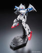 RG 