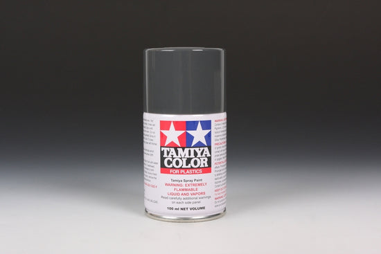 TS-4 German Gray (100ml Spray Can)