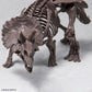 Imaginary Skeleton Triceratops 1/32 Scale Model Kit