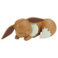 Model Kit Quick! Pokemon 