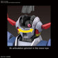 RG 