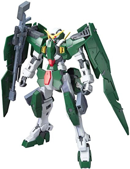 HG 1/100 