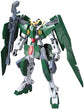 HG 1/100 