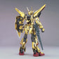 HG 1/100 