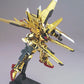 HG 1/100 