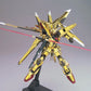 HG 1/100 