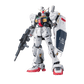 RG 
